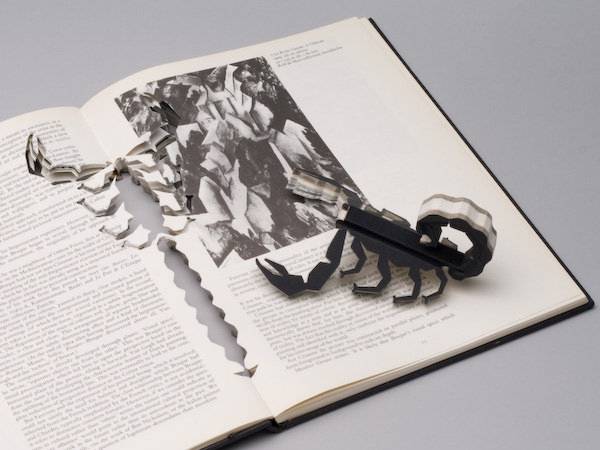 The Book Art of Robert The   arts